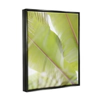 Stupell Tropical Palm Modern View Botanička i cvjetna fotografija Crni plutač uokviren umjetnički print zid umjetnost