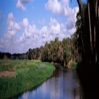 Razmišljanje o oblacima u rijeci, rijeka Myakka, državni park rijeke Myakka, okrug Sarasota, Florida, USA PLAST