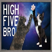 Keith Kimberlin-mačići-petero braće u svemiru Zidni plakat, 22.375 34