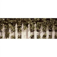 Panoramske slike PPI133613L bijela ograda za pikat okružena grmljem duž avenije Truman Key West Monroe County