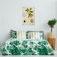 Wynwood Studio platno breskva biljka drveća hrana i kuhinja voće zidno umjetničko platno print zeleno 24x36