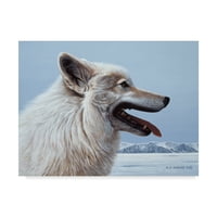 Zaštitni znak likovna umjetnost 'Arktički vuk portret' platno umjetnost Ron Parker