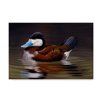 Zaštitni znak likovna umjetnost 'Ruddy Duck' platno umjetnost Wilhelma Goebela