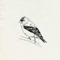 Caroline, Emma Black uokvirena suvremena muzejska umjetnička gravura pod nazivom Prijatelji hranilice za ptice