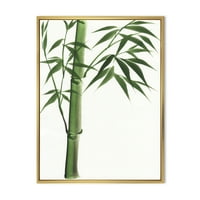 DesignART 'detalj tamnozelenog bambusa na White III' tradicionalno uokvireno platno zidne umjetničke tiska