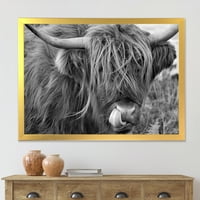 DesignArt 'Izbliza škotske krave na seoskoj kući Moorland II' Umjetnički ispis uokviren