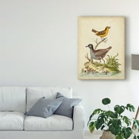 Zaštitni znak likovne umjetnosti 'Antique Bird Menagerie II' platno Umjetnost Georgea Edwardsa