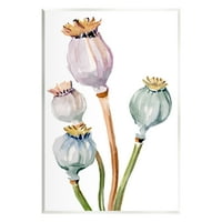 Stupell Industries Pastel Mack Pods akvarelni botanički i cvjetni slika