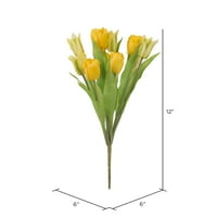Lažni žuti grm tulipana 12